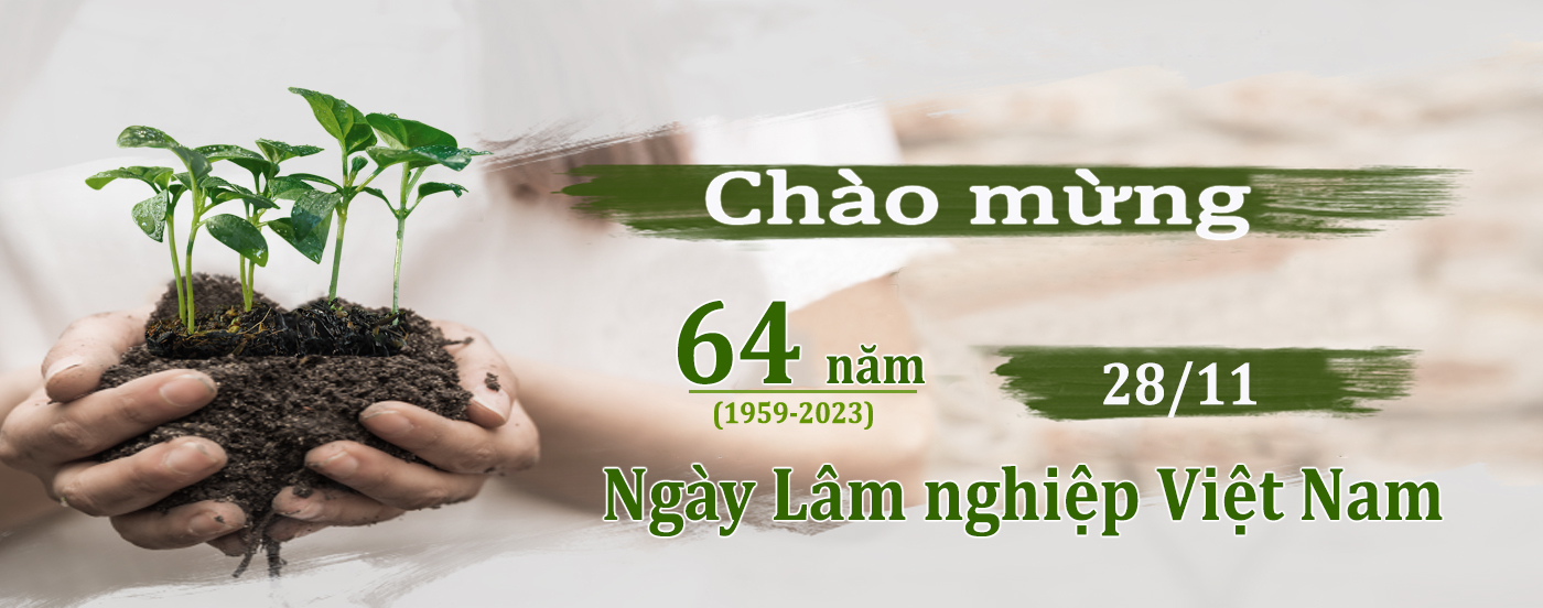 Ngày Lâm nghiệp Việt Nam 28/11 – Ôn lại những mốc son lịch sử